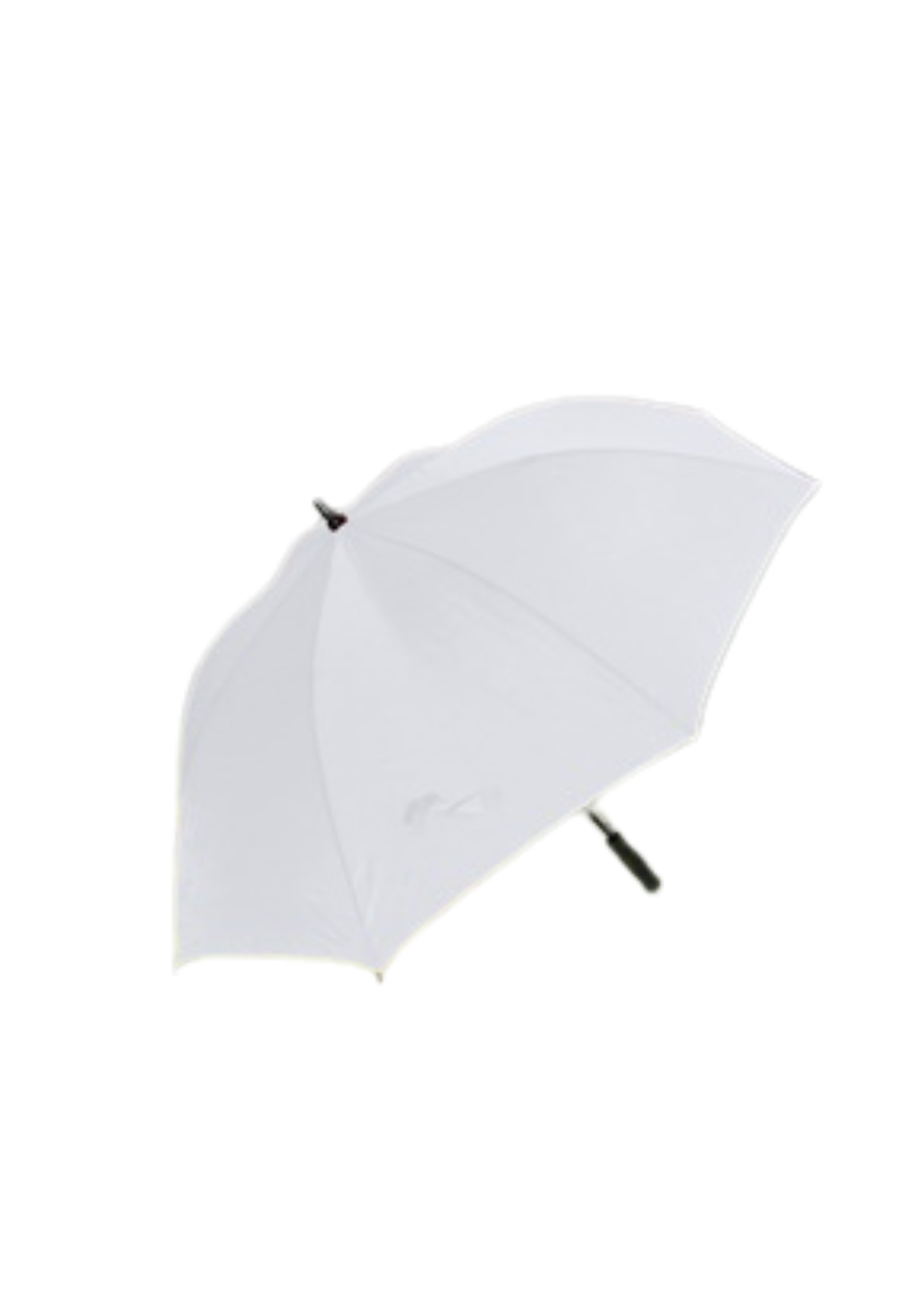 BLSC Branded Umbrellas