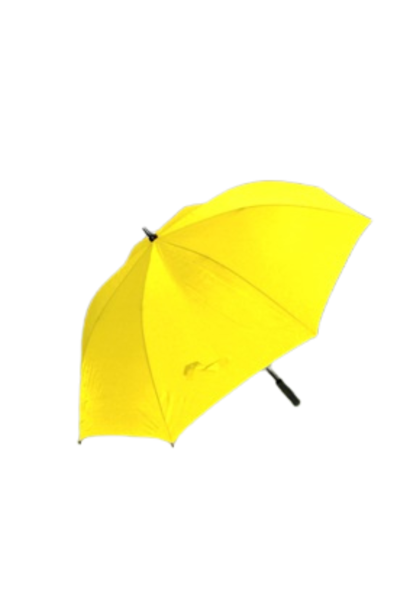 BLSC Branded Umbrellas