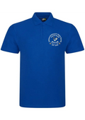 DFB Embroidered Polo Shirt