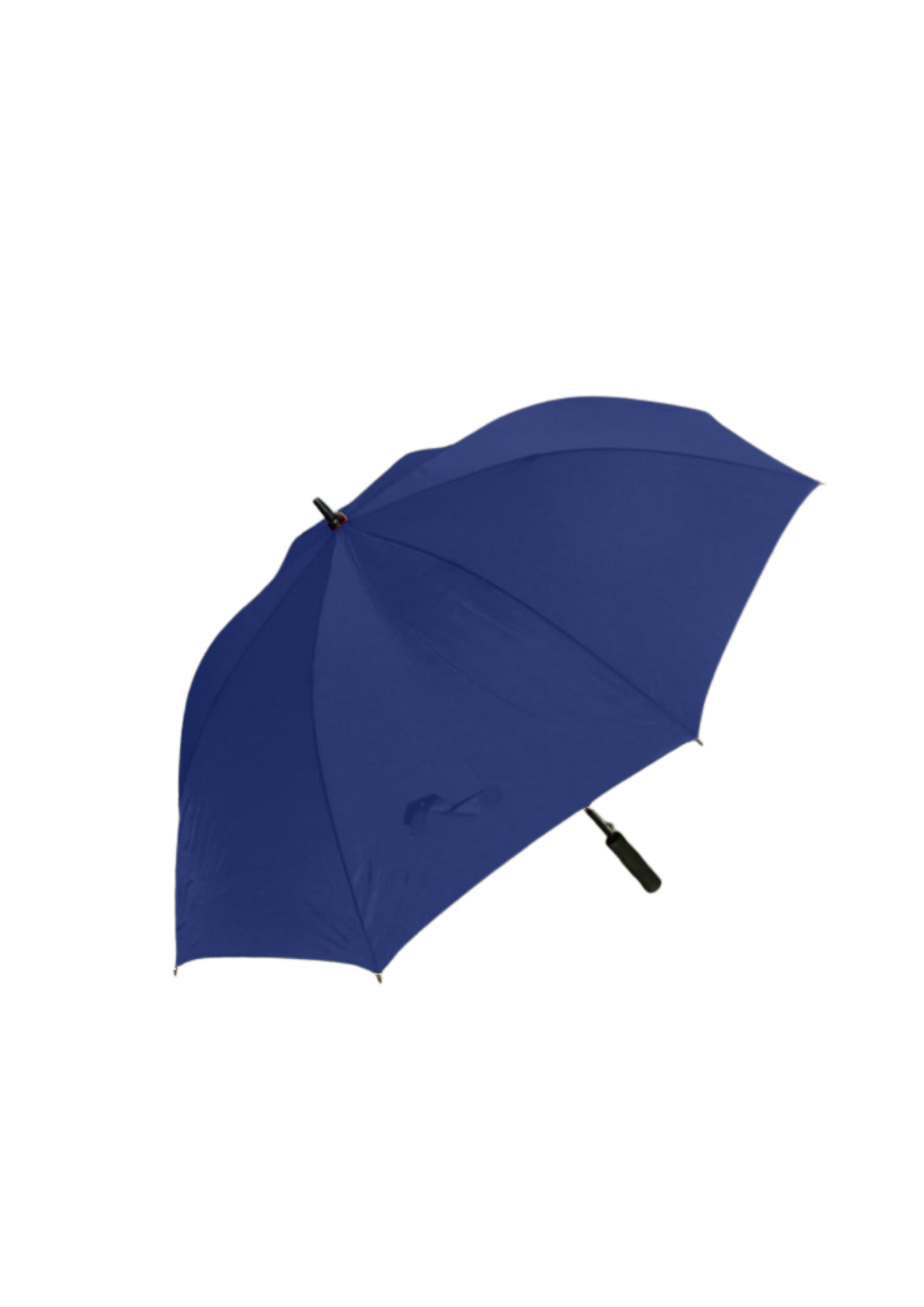 BLSC Branded Umbrellas