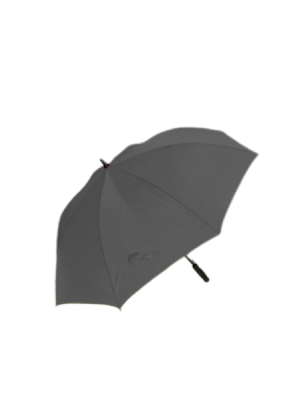 DGS Branded Umbrellas