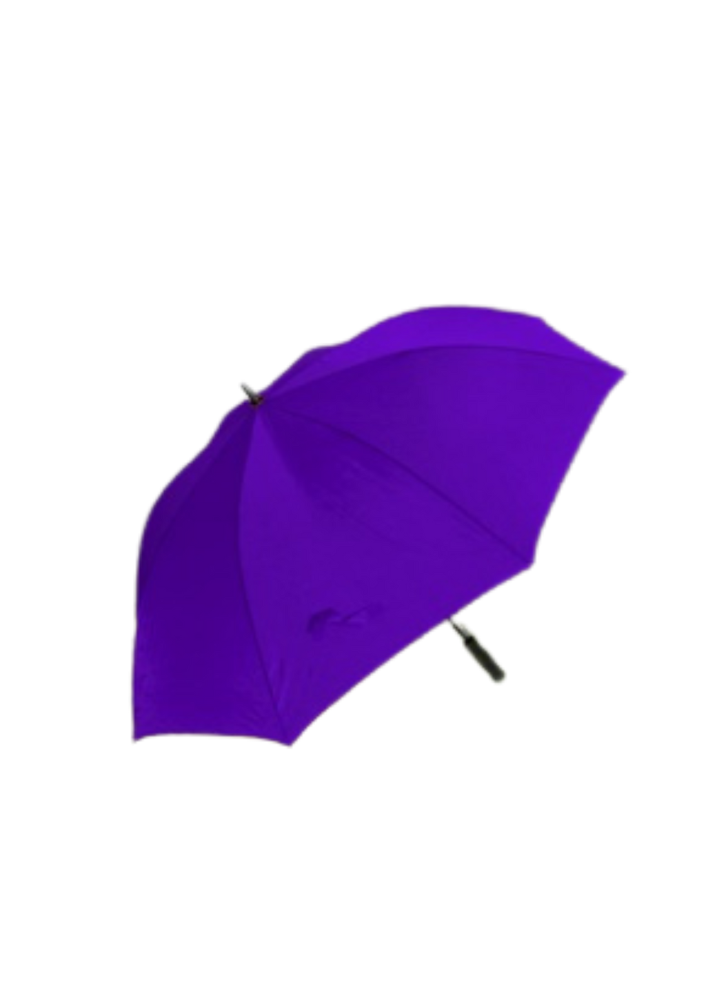 DGS Branded Umbrellas