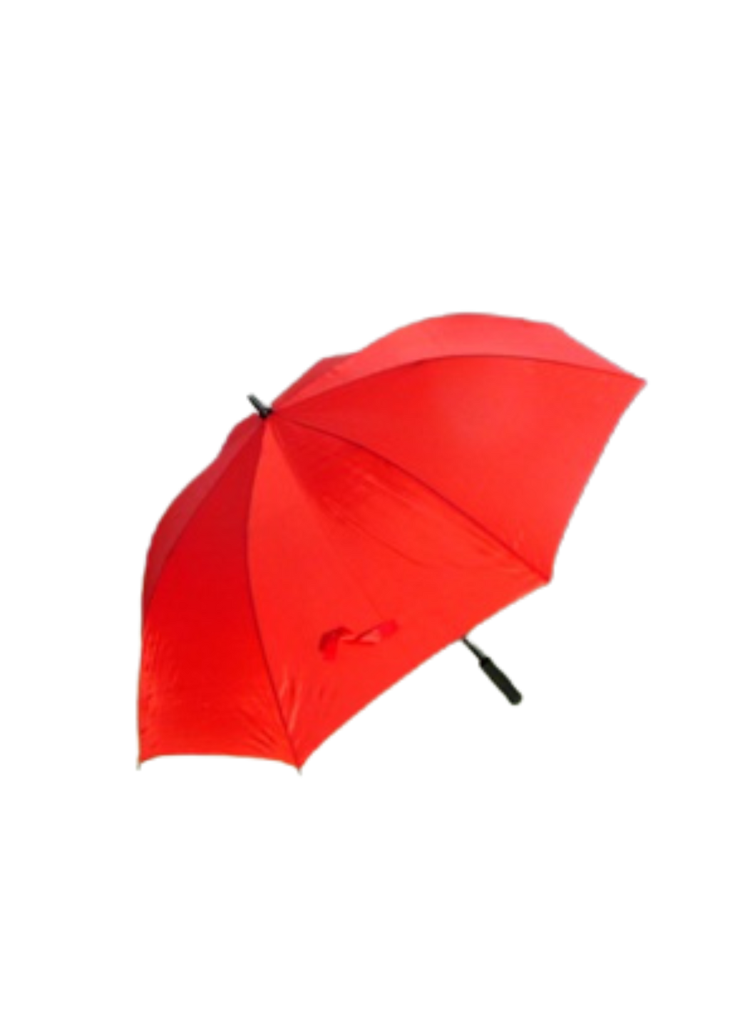 DGS Branded Umbrellas