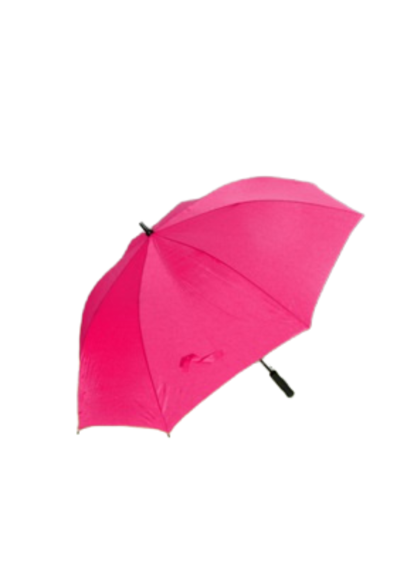 BLSC Branded Umbrellas