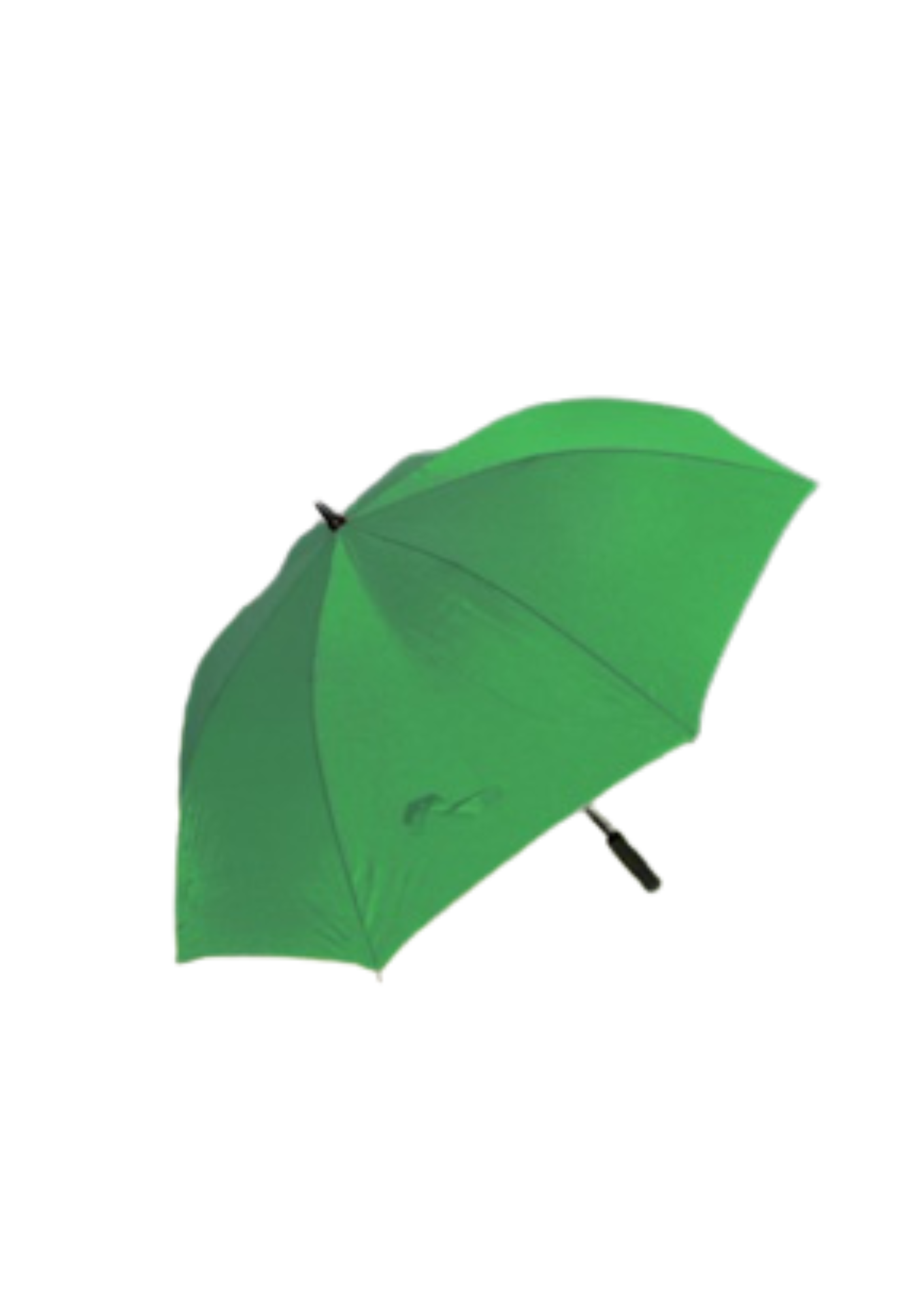 BLSC Branded Umbrellas