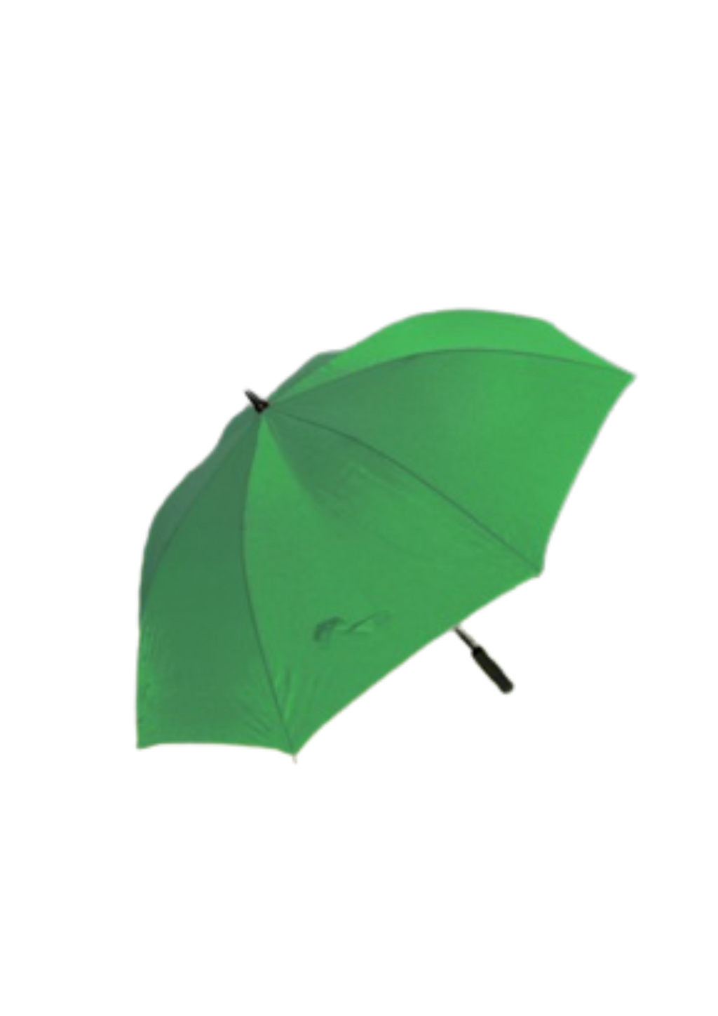 DGS Branded Umbrellas