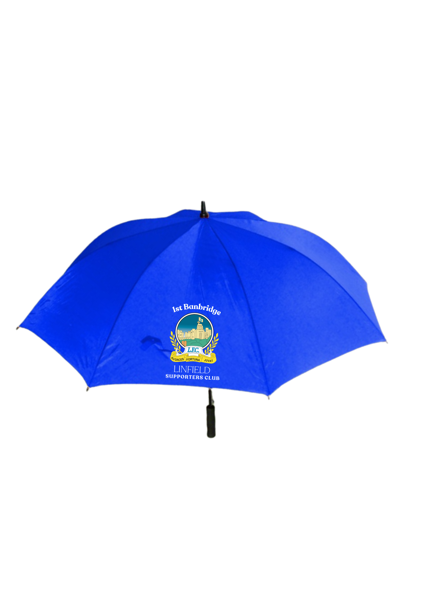 BLSC Branded Umbrellas